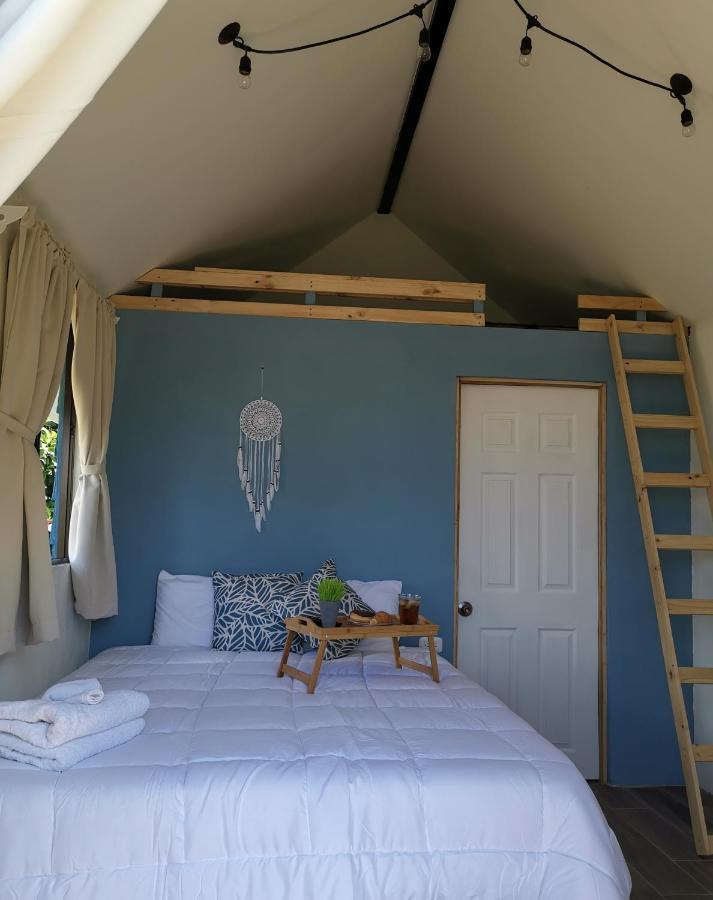 Tiny House Dreamcatcher Sarchí Екстериор снимка